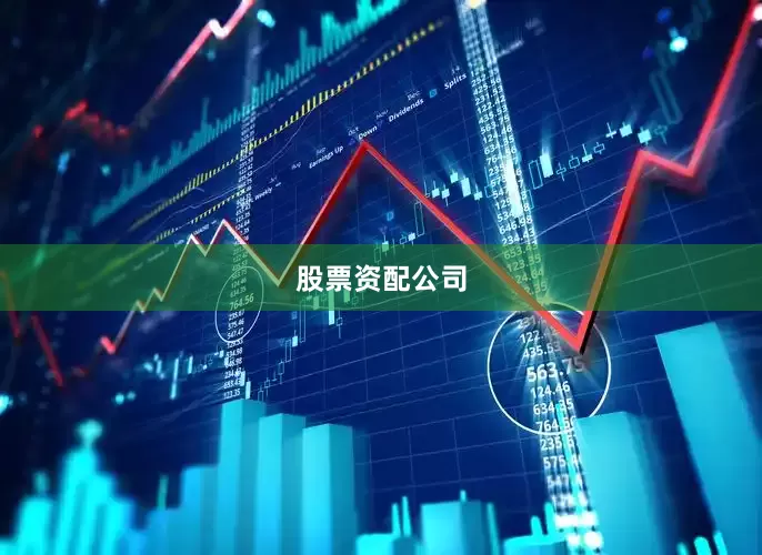 股票资配公司