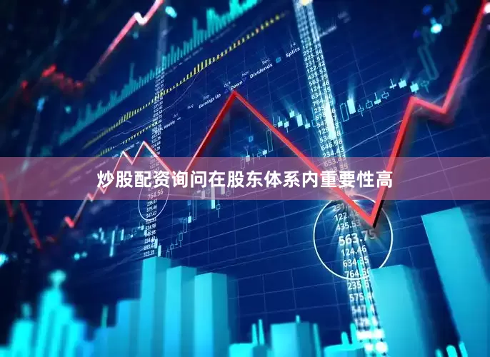 炒股配资询问在股东体系内重要性高