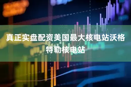 真正实盘配资美国最大核电站沃格特勒核电站