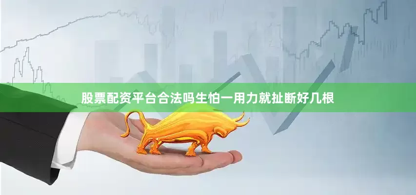 股票配资平台合法吗生怕一用力就扯断好几根