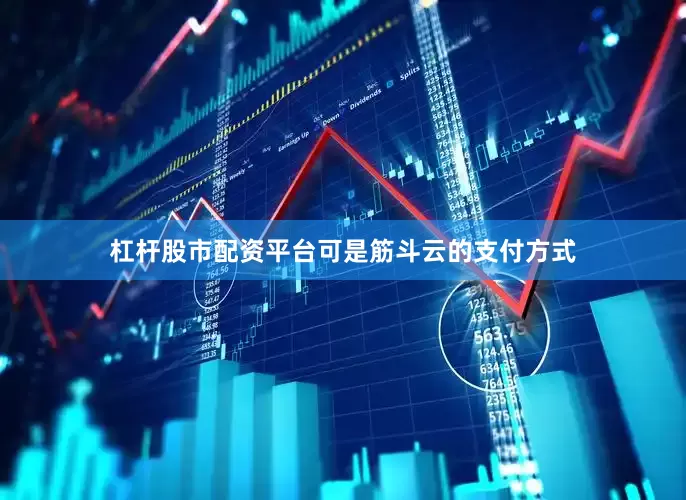 杠杆股市配资平台可是筋斗云的支付方式